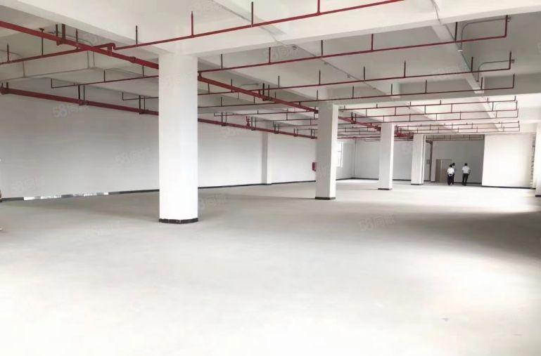 寮步环保产业园2000平出租，500平起分，大小可按需要