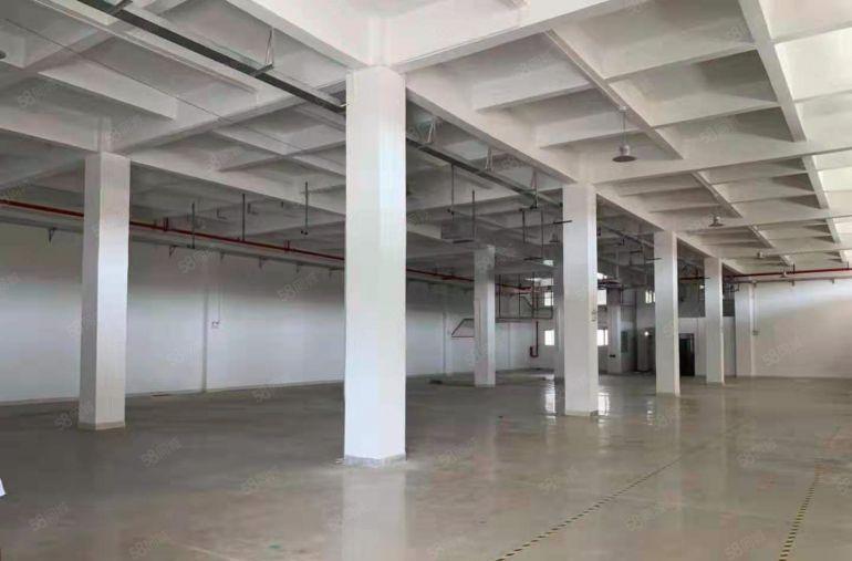 岭厦 一楼 700平方 现成水电办公装修 10元每平米