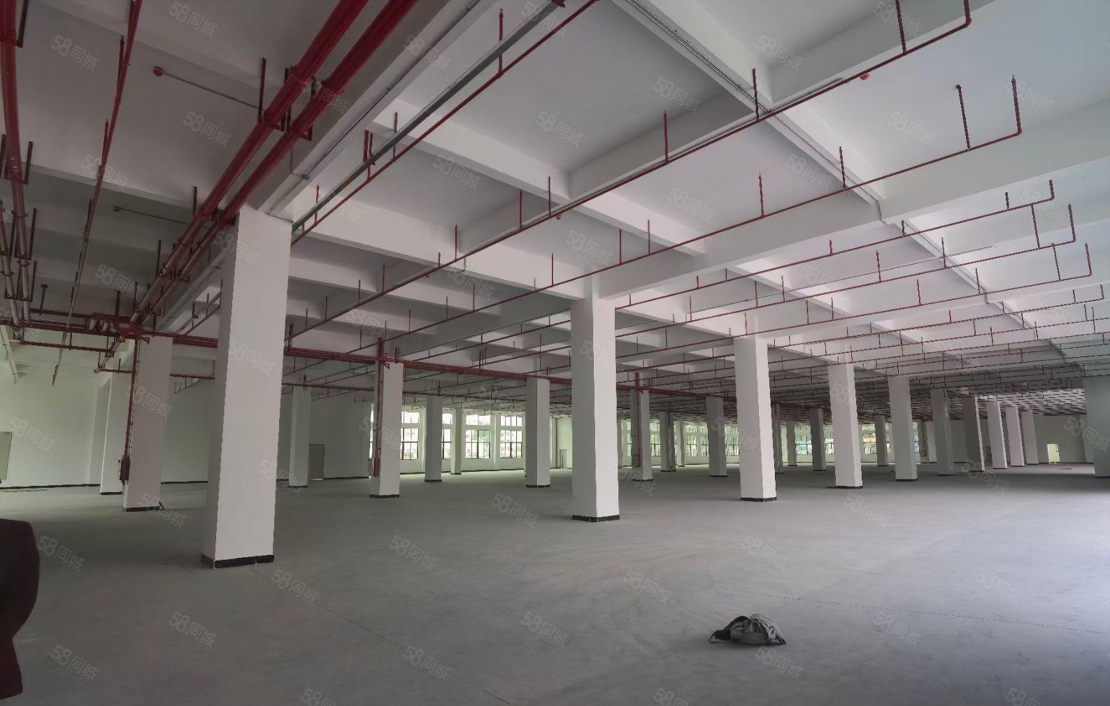 东莞寮步周边镇原房东标准厂房出租，靠近松山湖，总面积约7万方