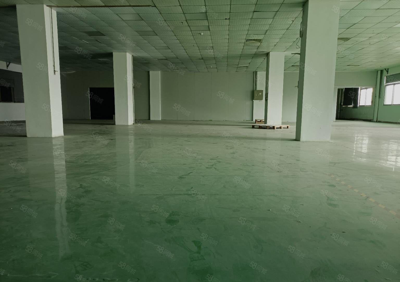 寮步汽车东站附近搬空标准一楼950平方，现成装修，急租