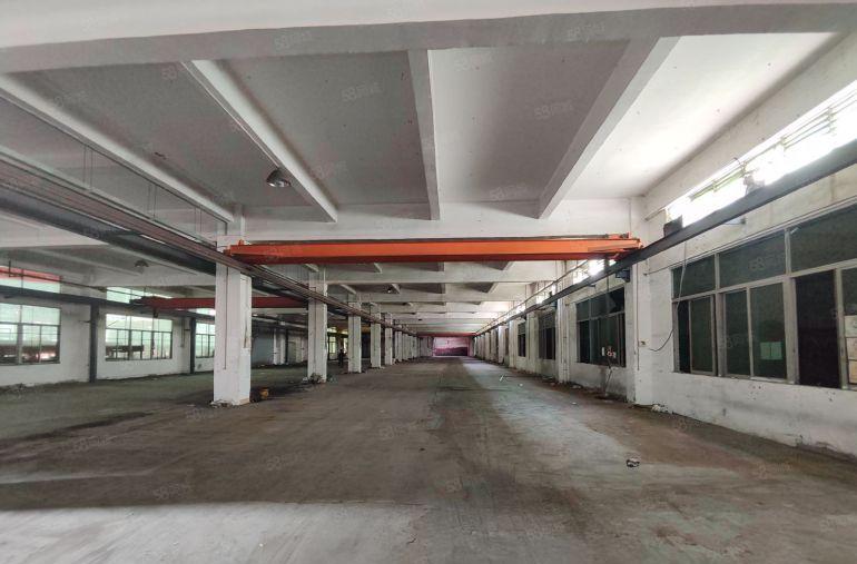 寮步一楼3300平方厂房出租，2台行车免费使用，周边交通便利