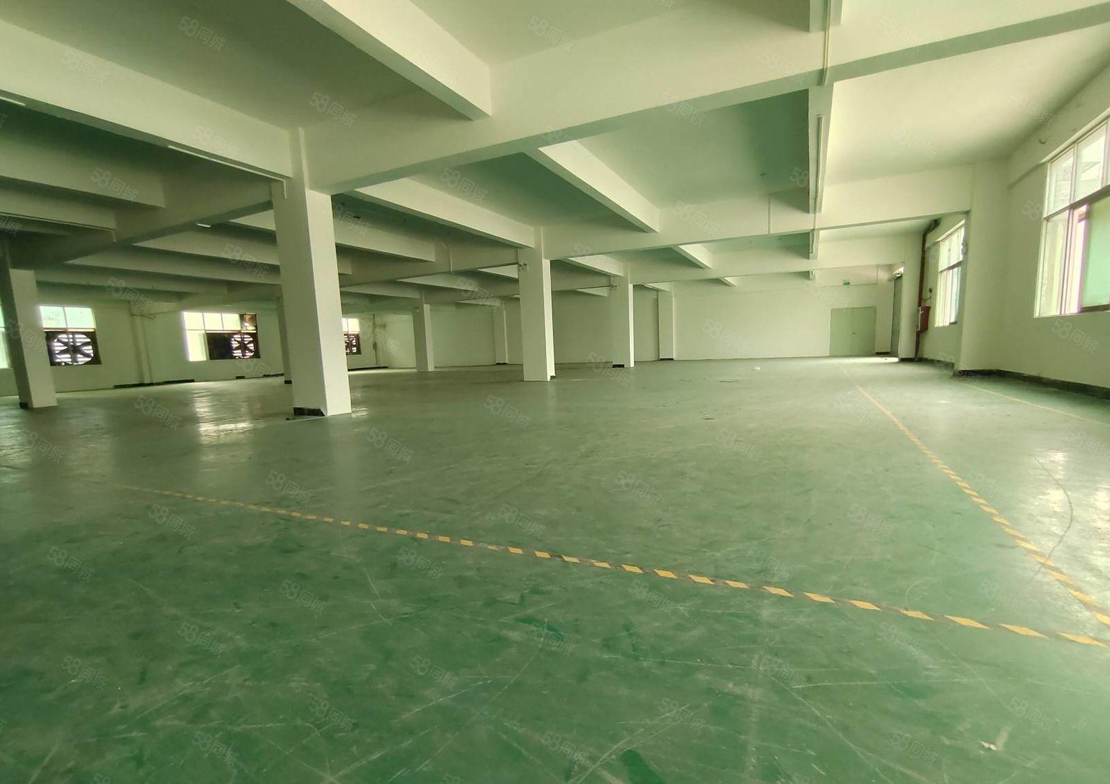 寮步石龙坑原房东标准独院厂房1000平方出租 现成装修.