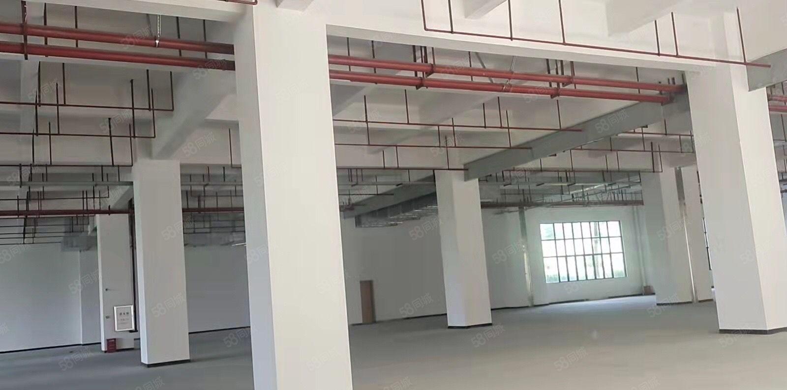 寮步竹园高新科技园，分租整层 形象好！