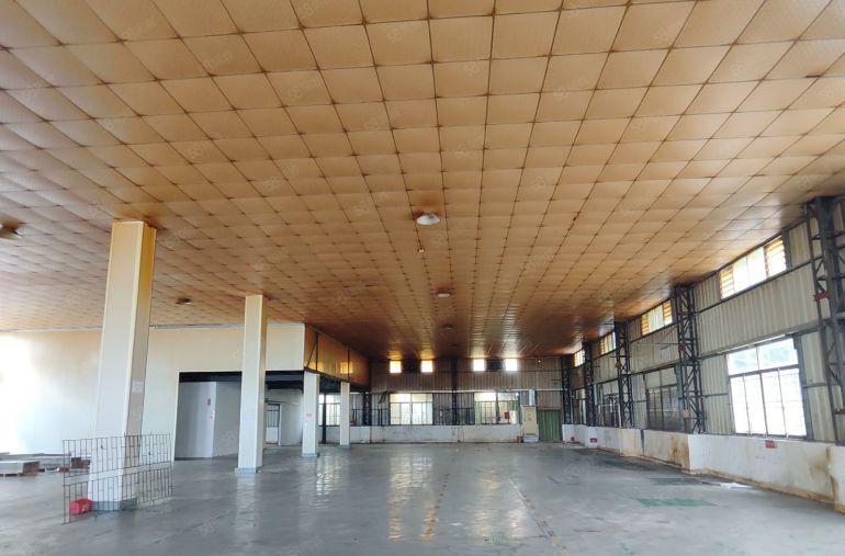 寮步石步原房东单一层独院1550平方厂房出租高7.5米带装修