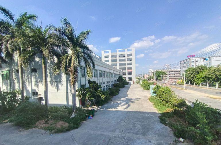 寮步原房东独院12块空地2000电过户周边没居民大小分租