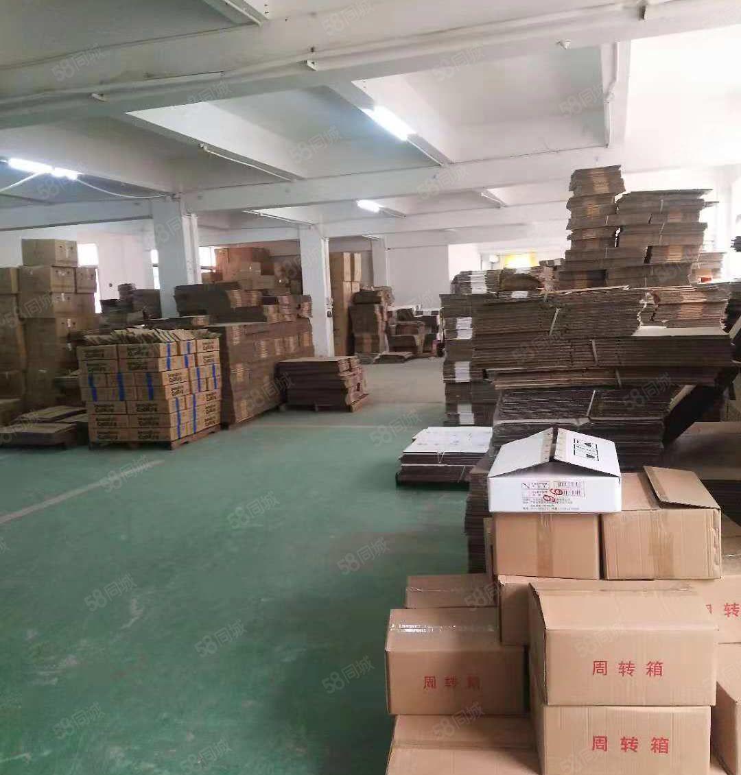 寮步 井巷 原房东 独院厂房 3000平方,九成新