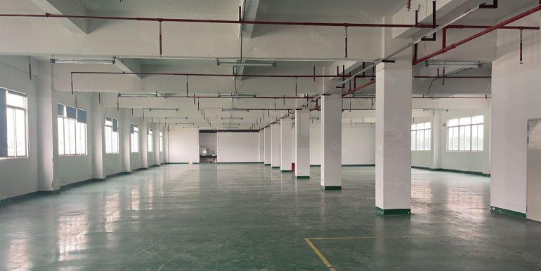 寮步新空楼上1760平，带精装修低价出租 有消防喷淋车间敞亮