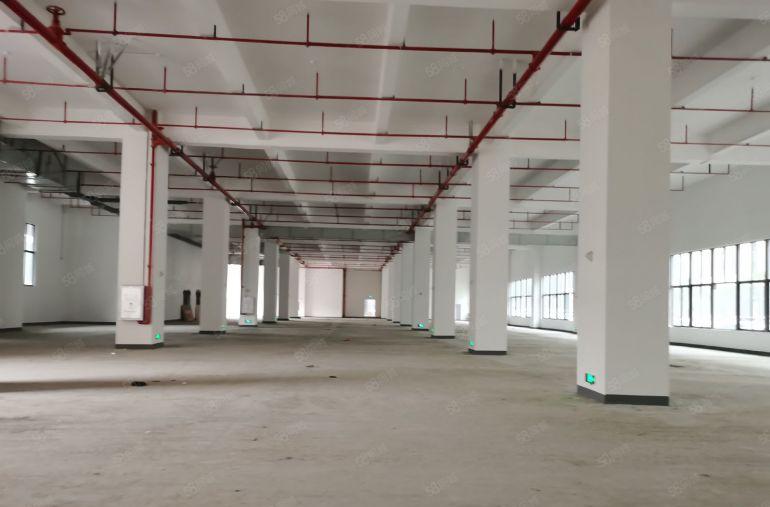 寮步镇原房东全新红本，玻璃幕墙，3万平方高端大气厂房招租