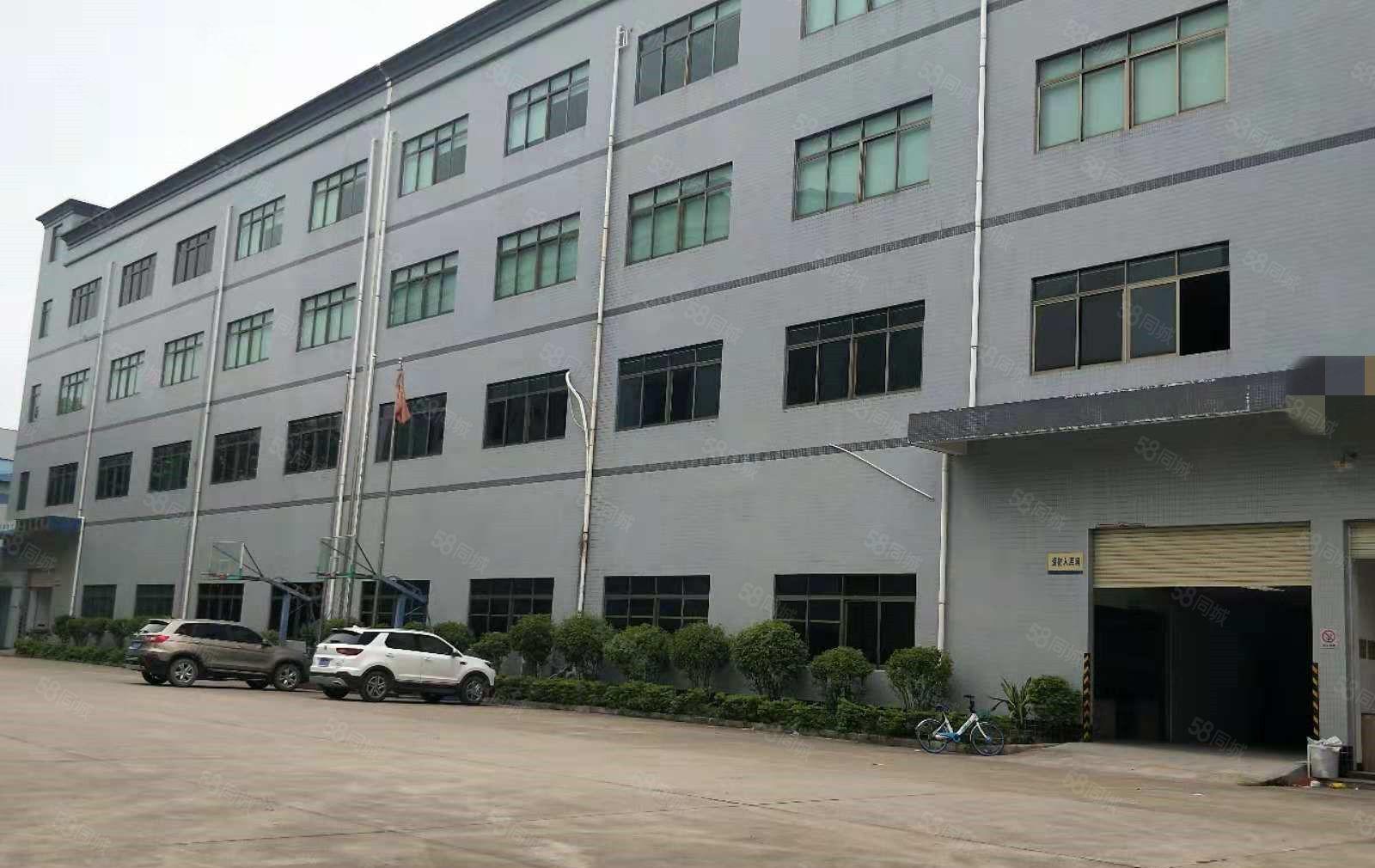 寮步 塘唇 即将空出 一楼 1500平方,形象超靓,位置好