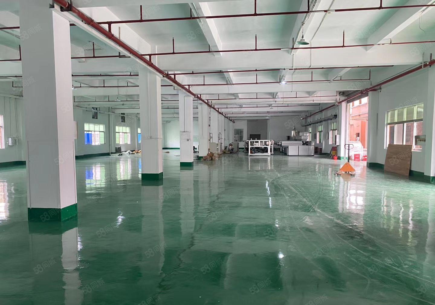 低价厂房出租！寮步良边原房东厂房1288平，带办公室