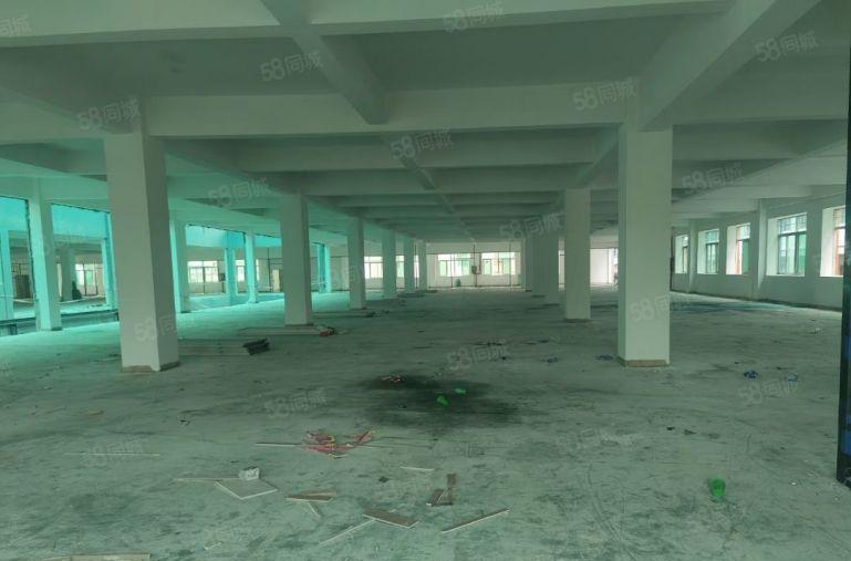 寮步重工业厂房，房东体谅现在行情不好价格便宜，灵活分组