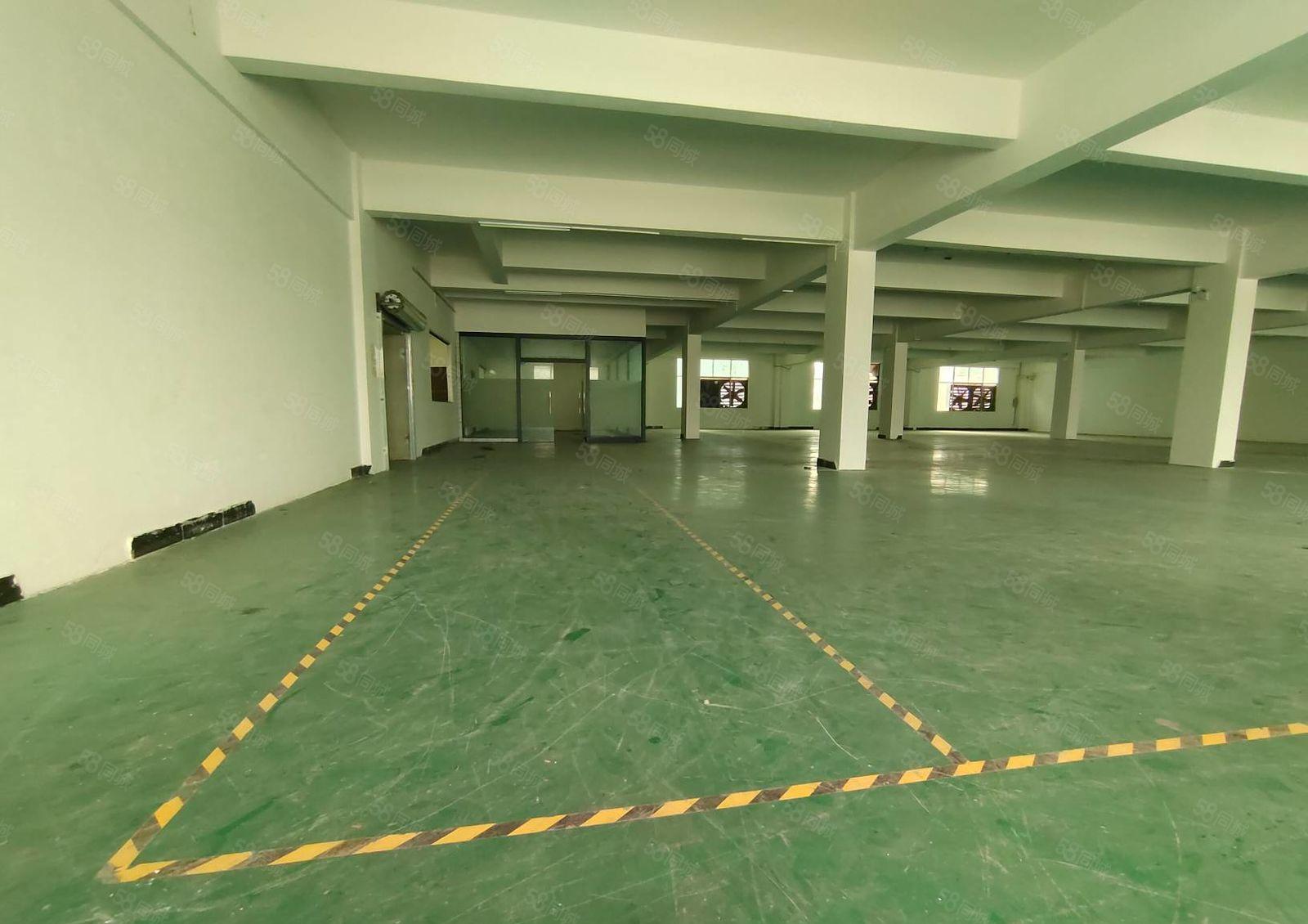 寮步石龙坑原房东标准独院厂房1000平方出租 现成装修.