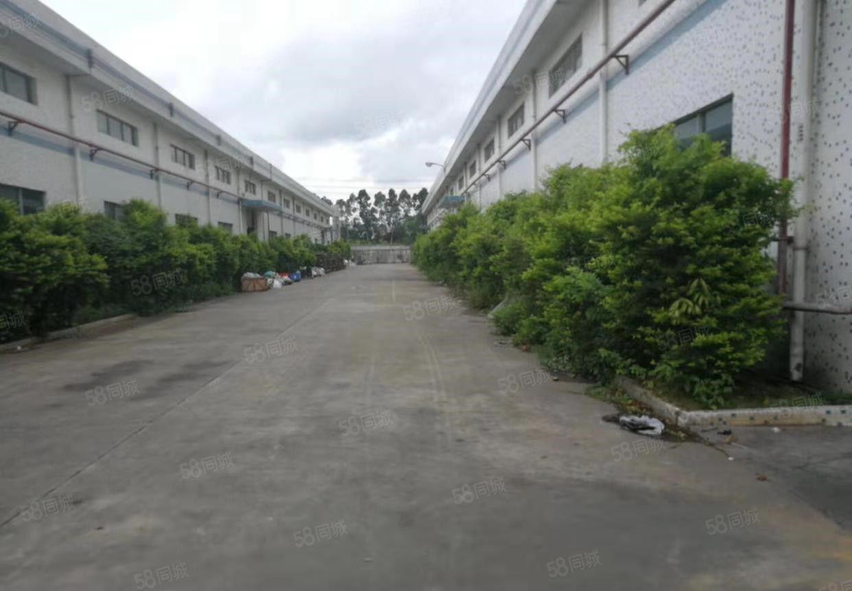 寮步华南城钢构厂房出租2000平方，滴水8米高