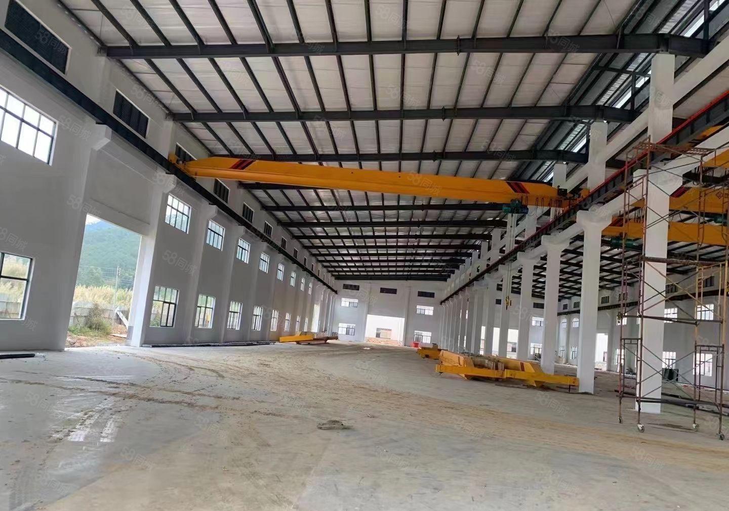 寮步9米高钢构3000平方出租，可做仓库物流 可分租