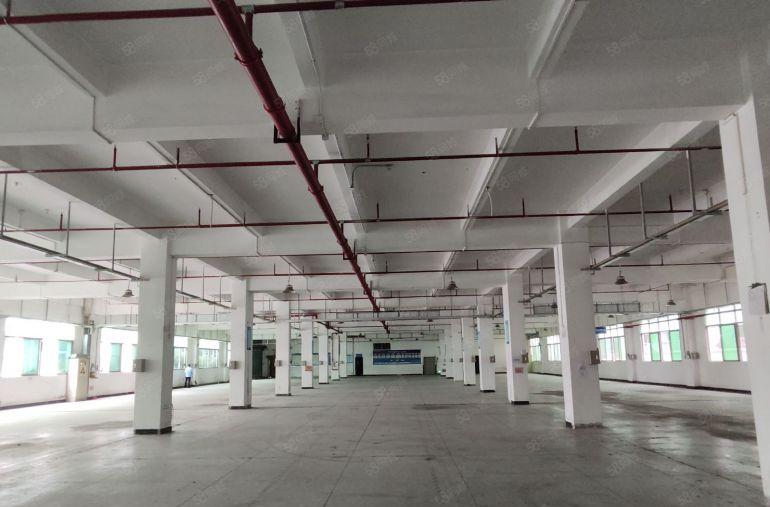 寮步华南城独门独院11300平方厂房出租一楼高度6米喷淋消防