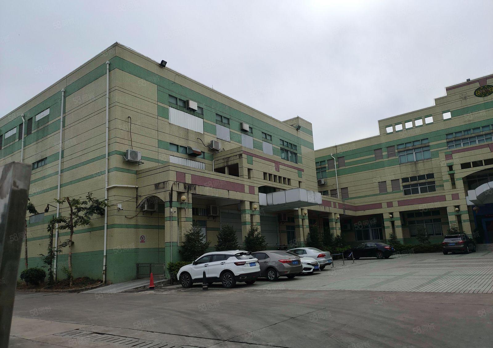 寮步 西溪 自用厂房出租 一楼1000平方,无公摊面积