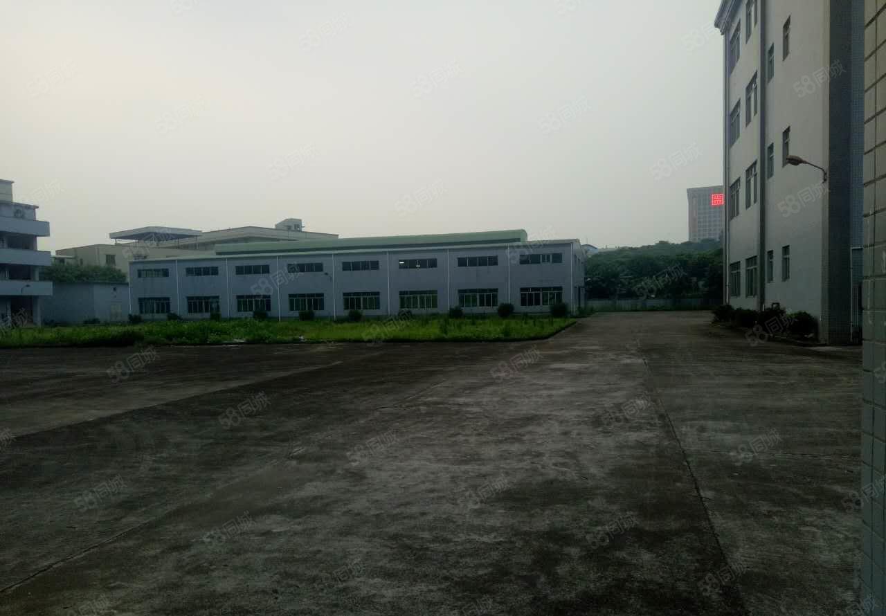 寮步华南工业城1500平方钢构带航车出租