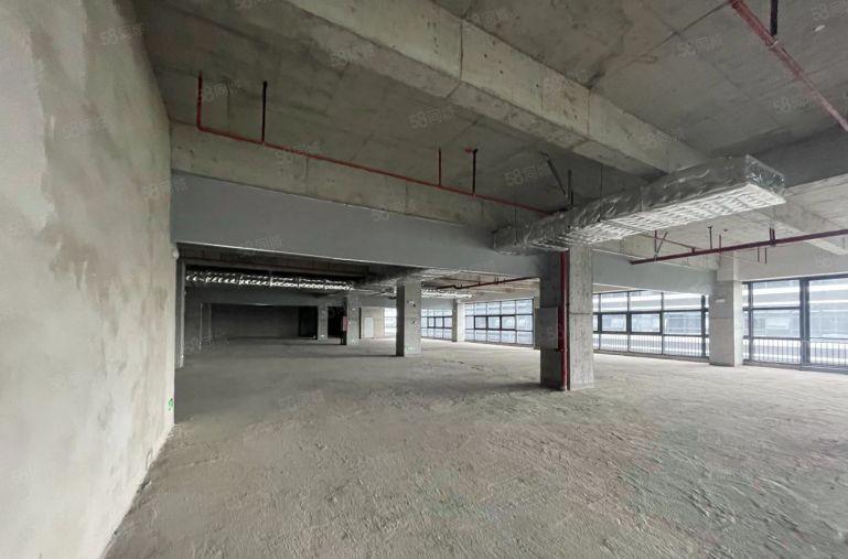 东莞雁田 京东智谷全新厂房 适合各行业 价格美丽免租期可谈