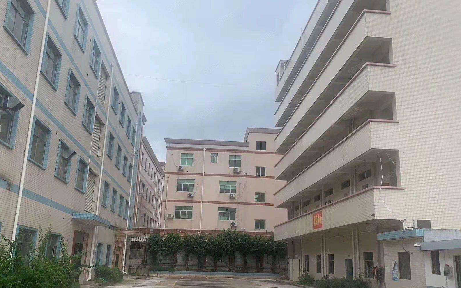 塘厦桥陇新空出1000平方厂房出租，配电大可进大车大小可分租