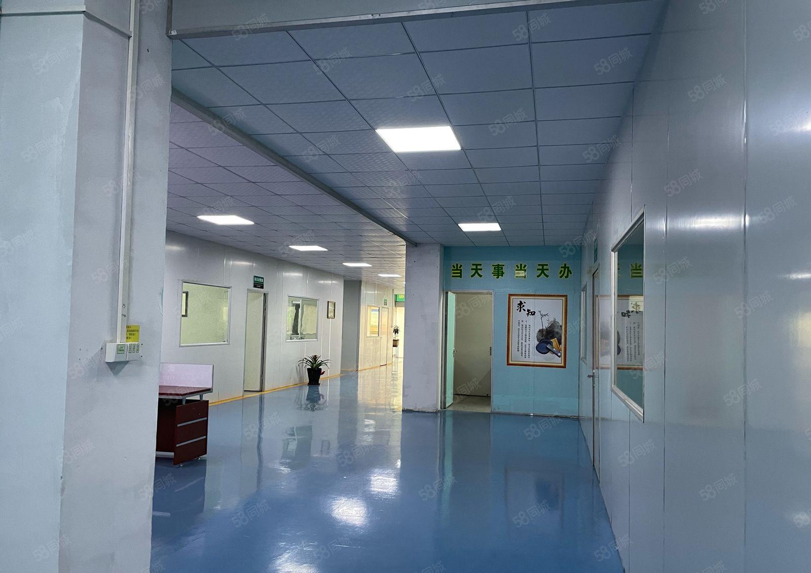 东城街道标准厂房一楼1000平米，二楼1100平米出租