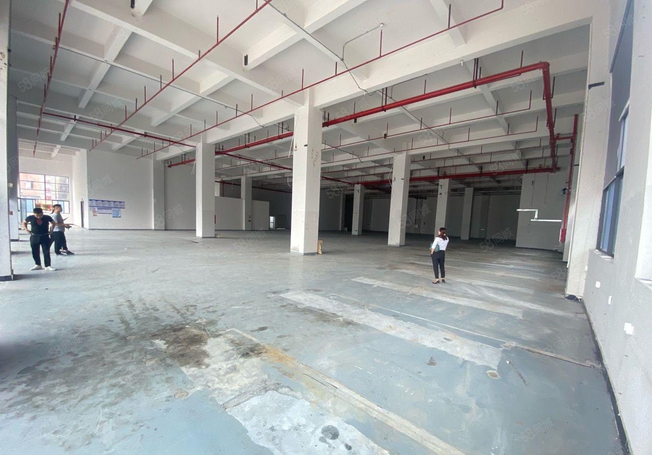 莞城新出漂亮园区厂房出租，可分租空地大。适合小加工电子仓库