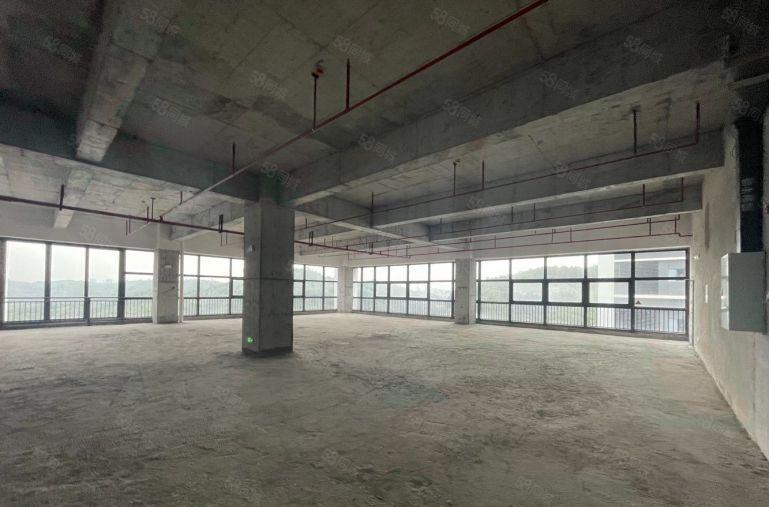 东莞雁田 京东智谷全新厂房 适合各行业 价格美丽免租期可谈