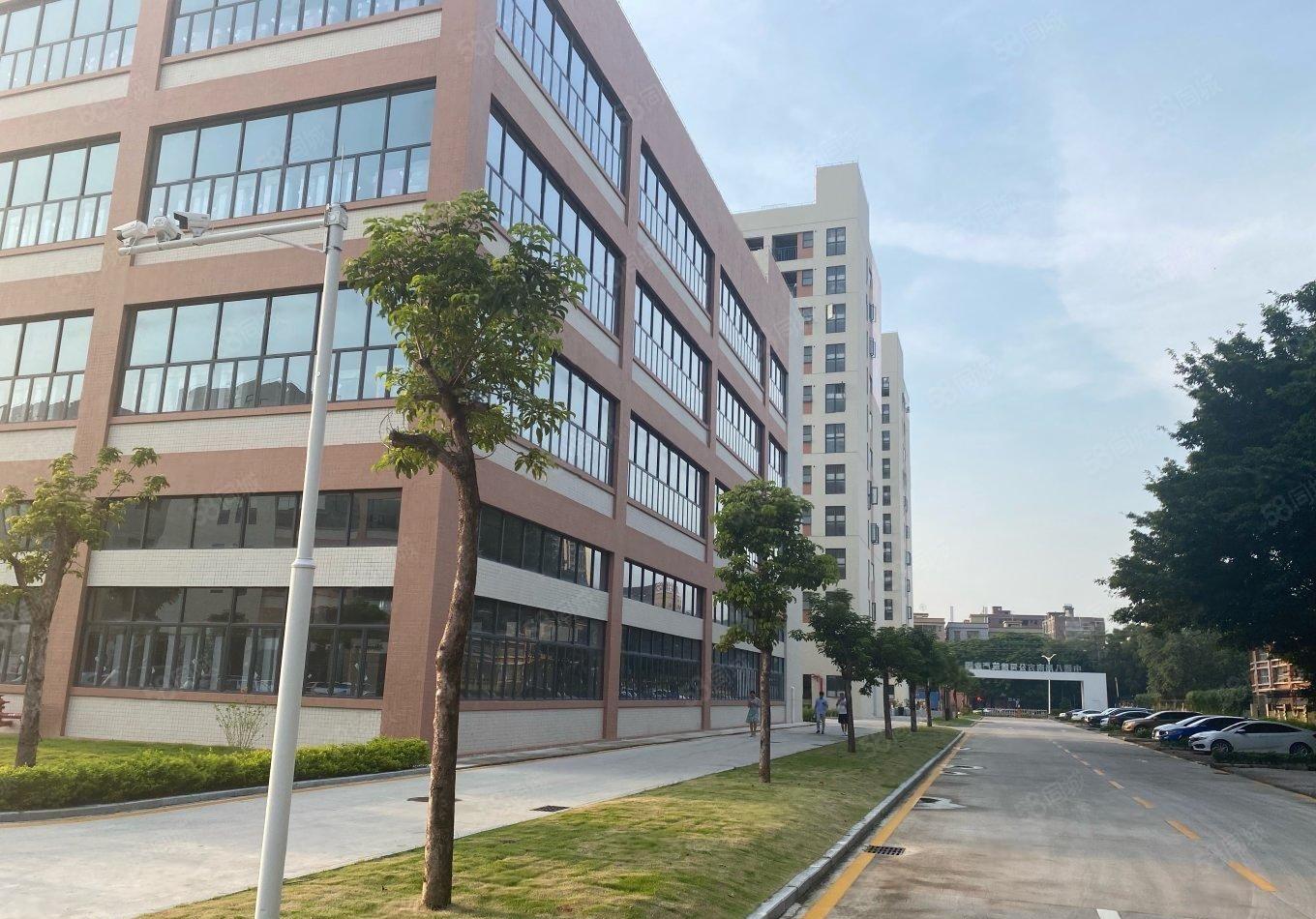 塘厦清溪三房东3000平整层带前台办公室形象好易招工