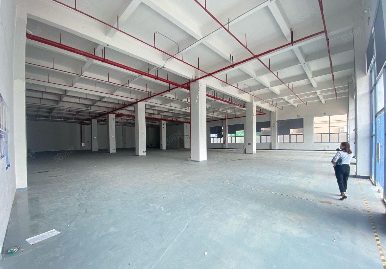 莞城新出漂亮园区厂房出租，可分租空地大。适合小加工电子仓库