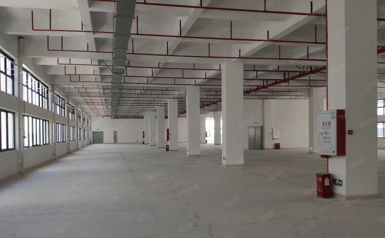 东莞城区2万平方（可分租）全新红本独栋厂房低价出租，近高速口