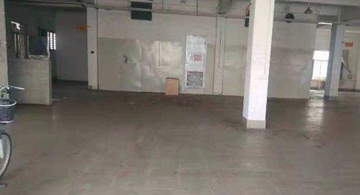 无公摊 清溪三中出租原房东一楼厂房1000平高速路口附近