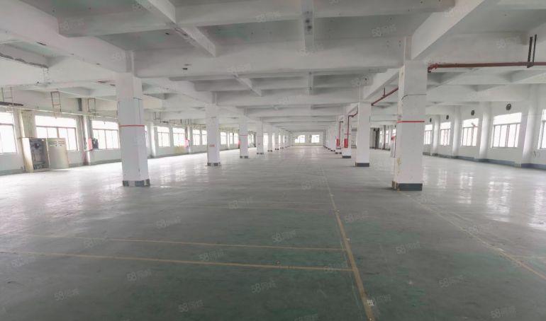 凤岗原房东分租3楼3000平带装修300平起分