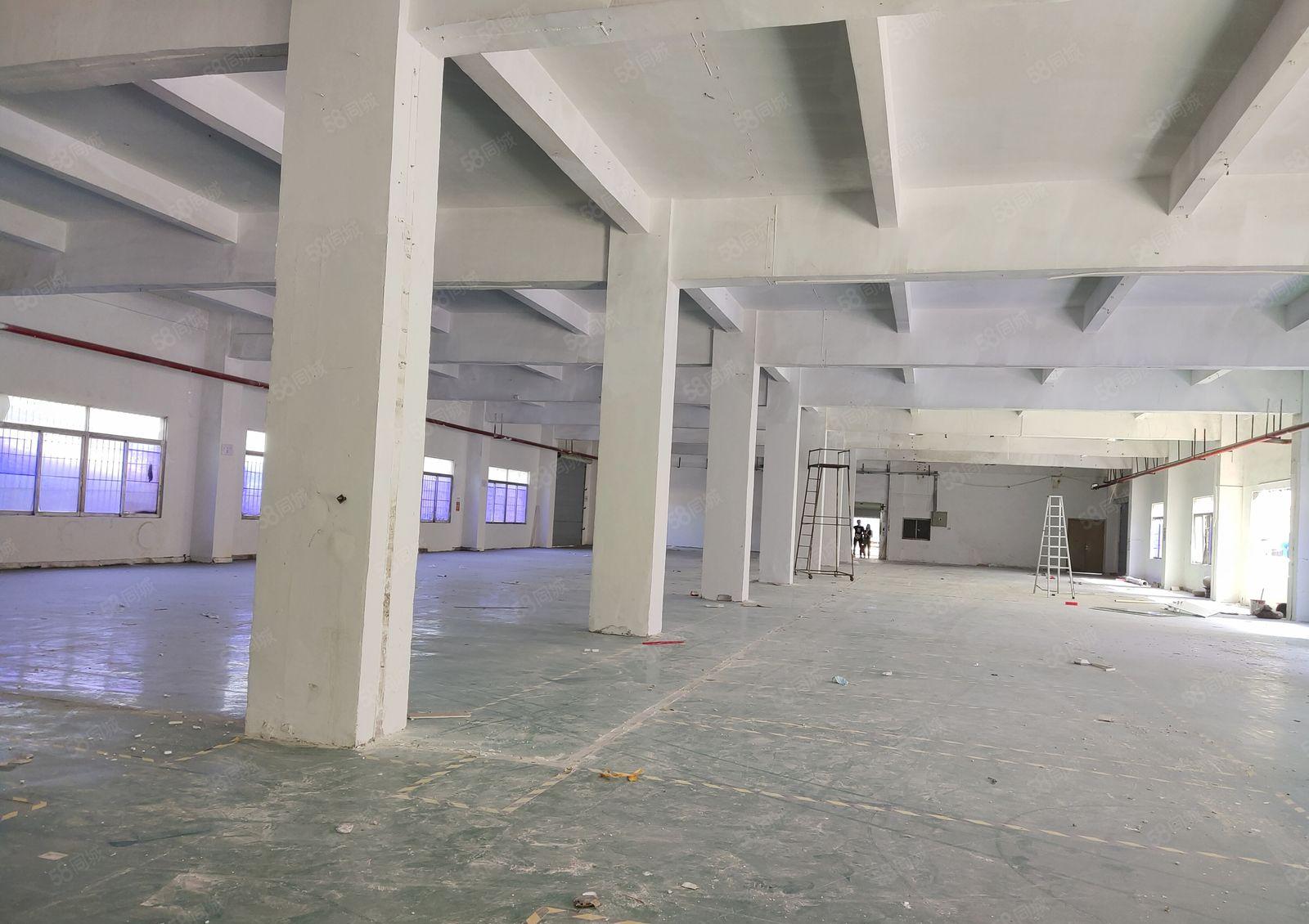 凤岗官井头小布工业区独院1600平一楼标准仓库厂房出租可分租