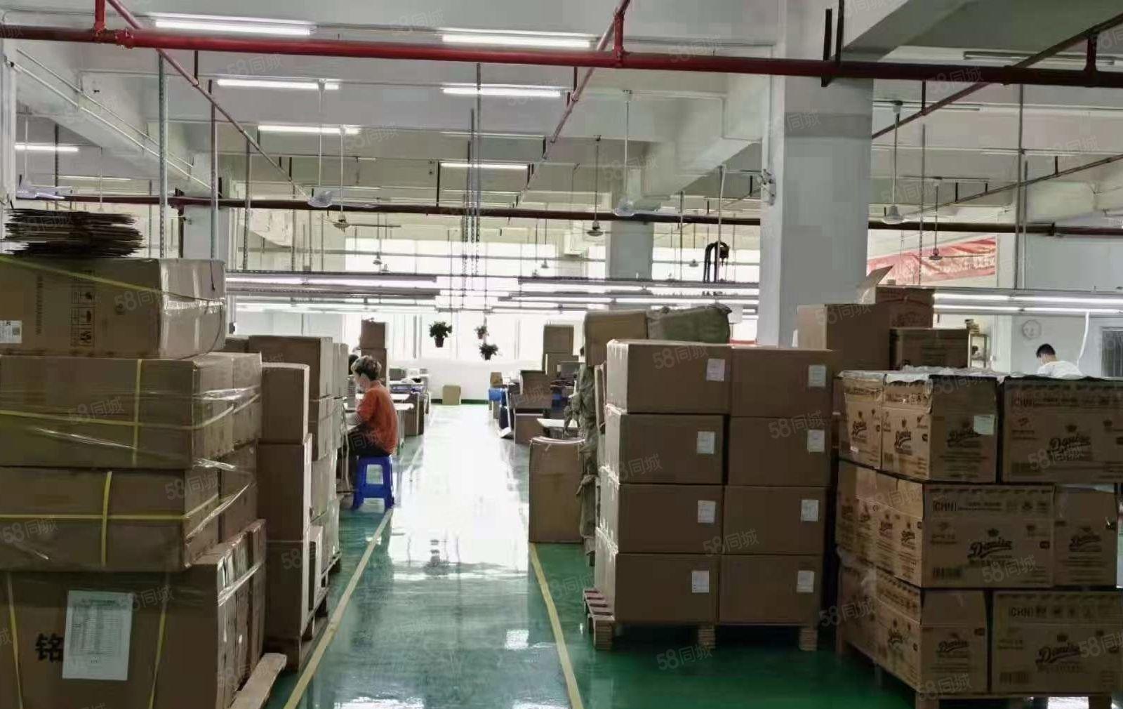 形象好 凤岗雁田楼上电子 组装 加工厂房出租1530平有装修