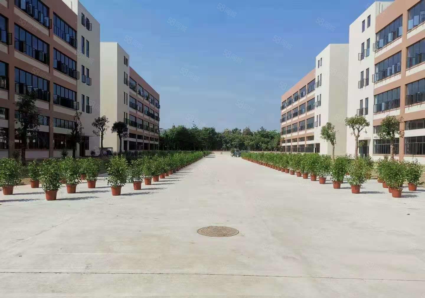 凤岗雁田证件齐全原业主独栋8000平大小分厂房仓库出租