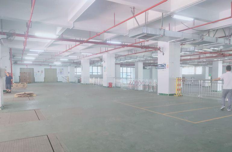 凤岗镇中心标准一楼带卸货平台厂房出租3500平 空地大无公摊