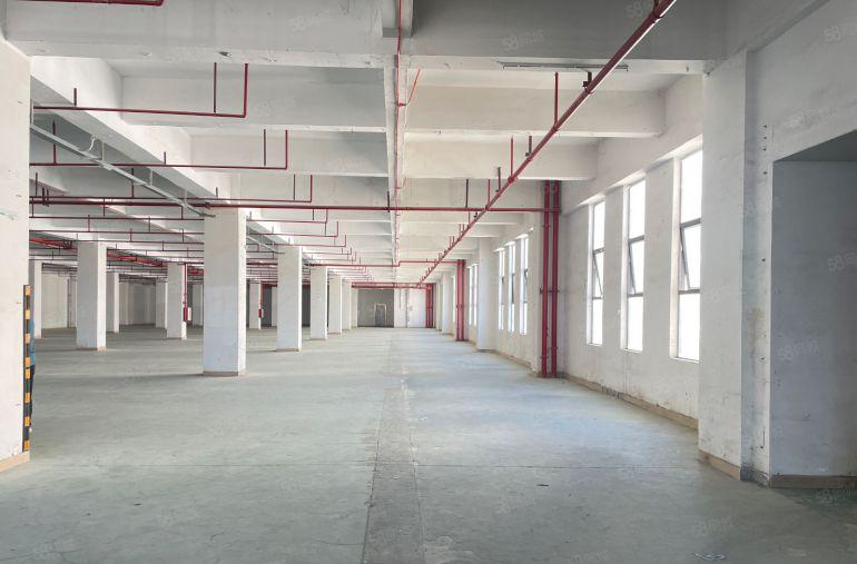 凤岗雁田新出原房东楼上3500平厂房仓库出租，价格便宜