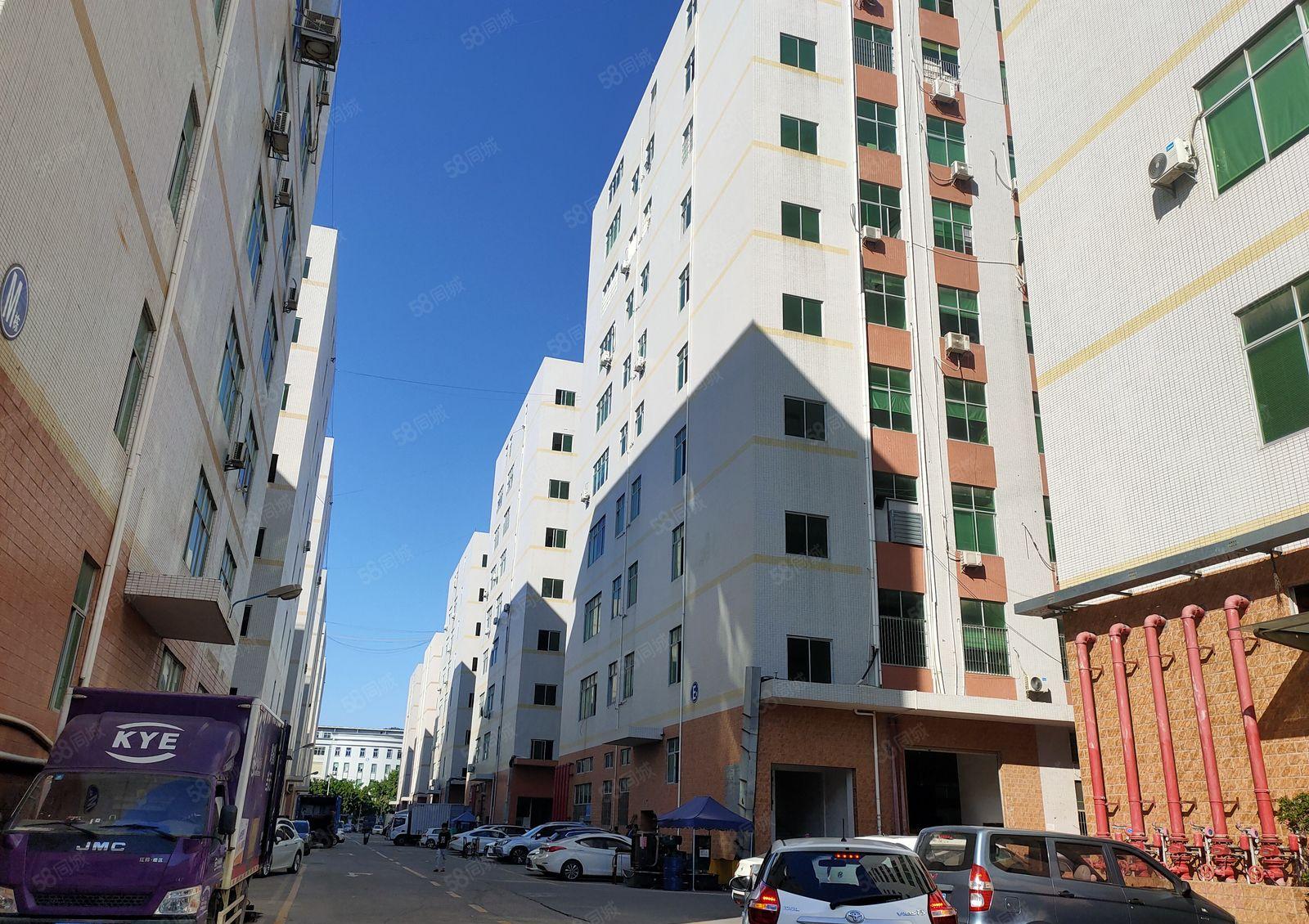 金凤凰一楼7米高 现成办公室 带消防喷淋 离东深线300米