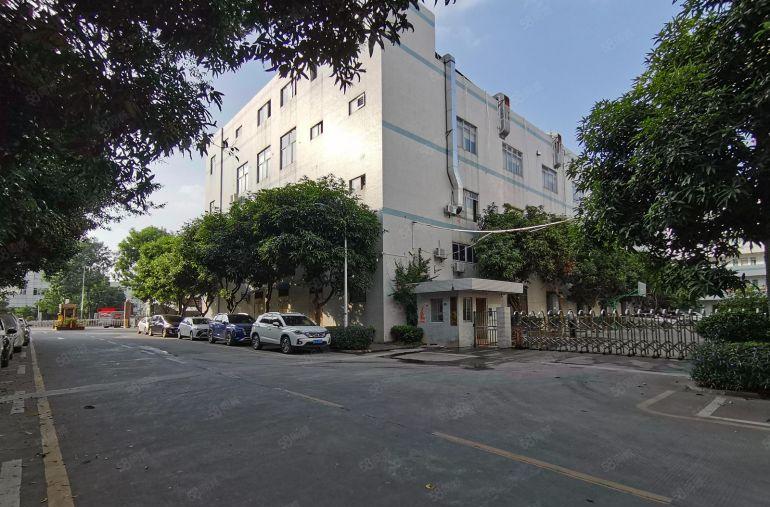 凤岗金凤凰原房东独院5800厂房出租形象好.500平起分