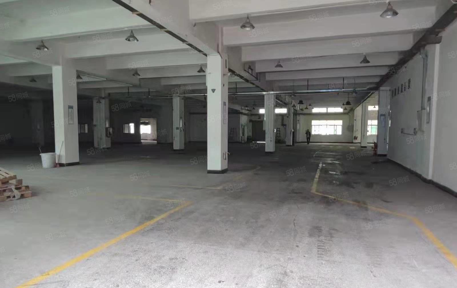 凤岗竹尾田靠外环高速附近独院一楼厂房出租2200平 5米高