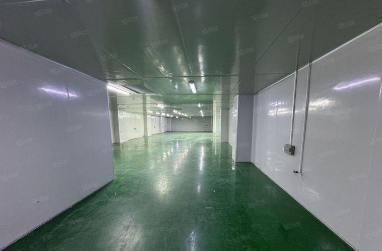 手机配件无尘车间800平凤岗雁田原房东厂房带精装修办公室