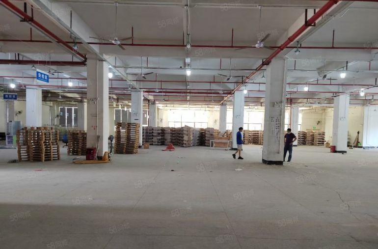 凤岗五联原房东独门独院8000平带部分装修厂房仓库低价出租