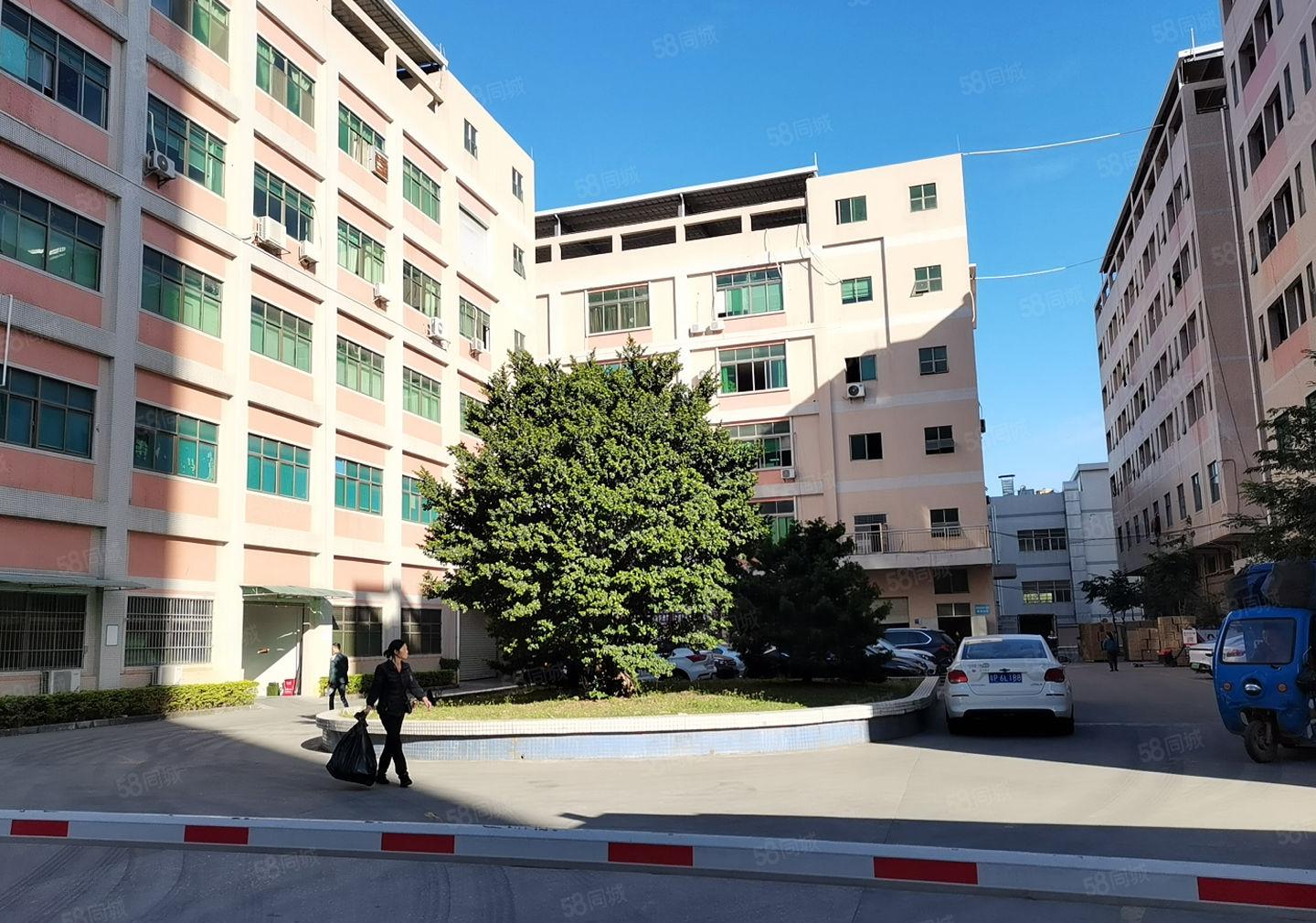 凤岗雁田布心工业区二楼1000平方，带精装修厂房出租，