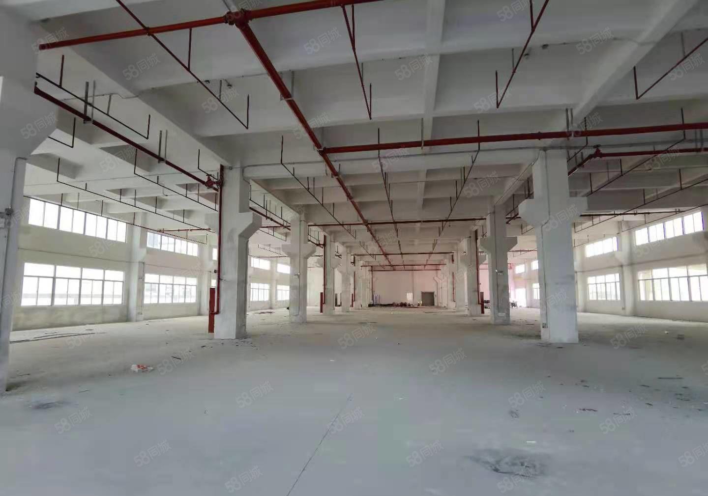 1000平方起凤岗雁田一手房东红本独院厂房5万平厂房仓库出租