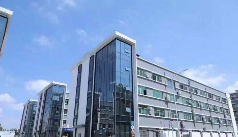 凤岗雁田原房东二楼分租1000平方现成装修水电齐全可办环评