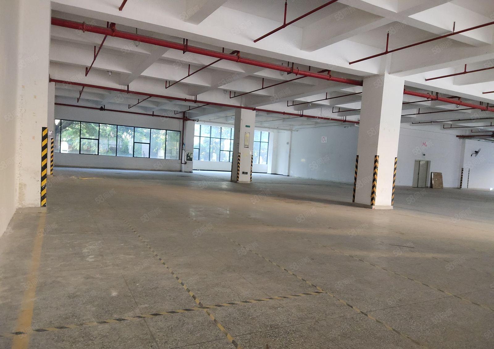 凤岗五联工业区独栋3千平一楼带卸货平台标准仓库厂房出租可分租