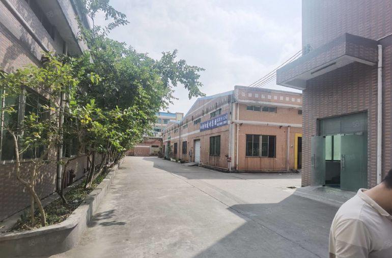 凤岗7米高钢构厂房中间无立柱）4000平米厂房1000平起租