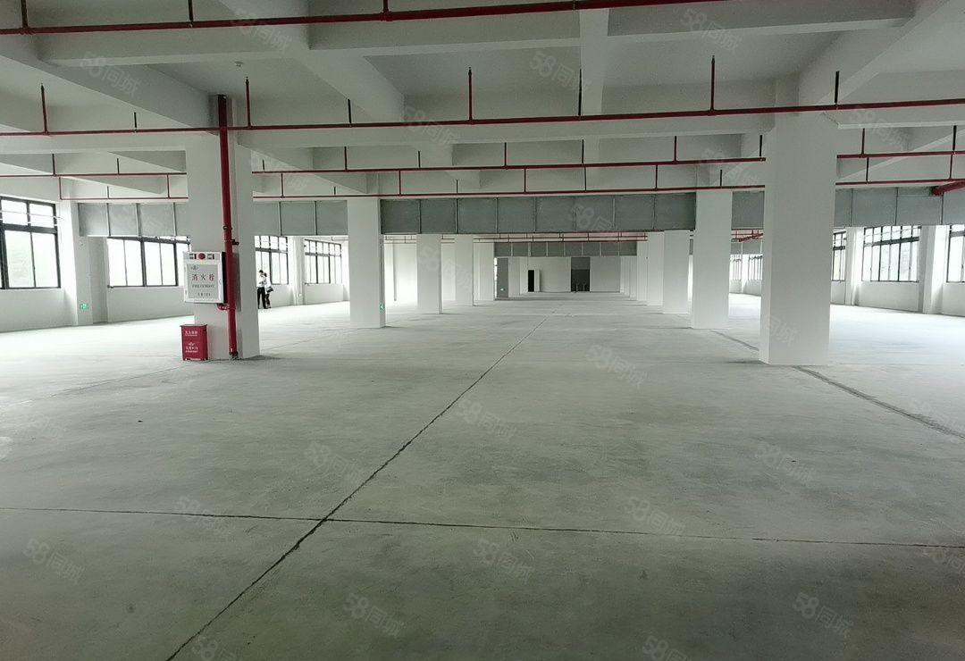 凤岗五联新出独门独院厂房9450平方，超大空地，可分租层租