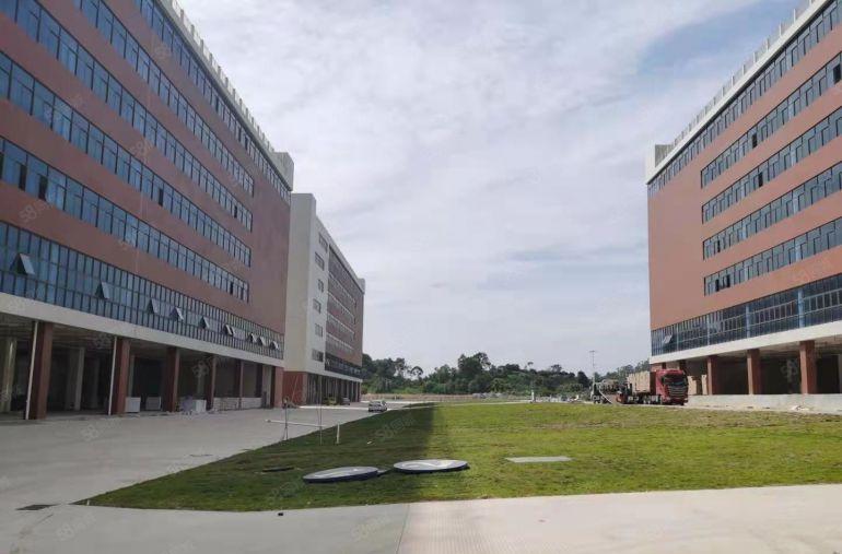 200平起分凤岗金凤凰单层面积2600平和3900平已隔好