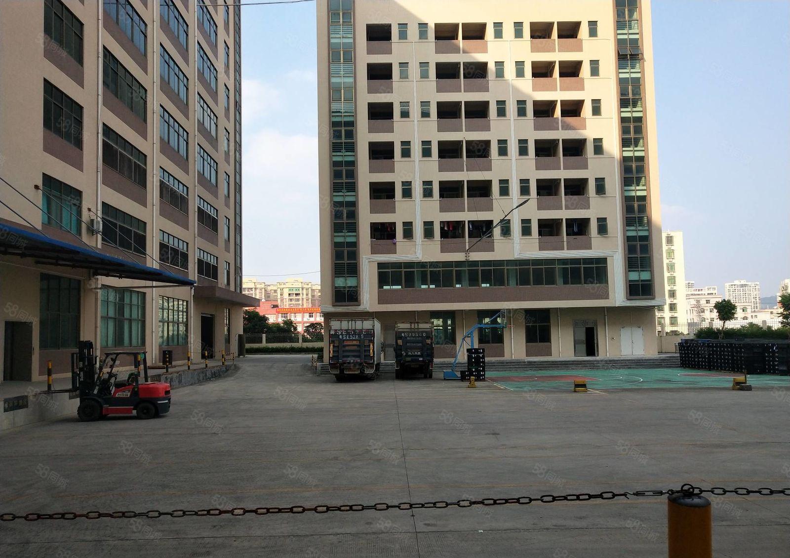 凤岗原房东全新厂房带卸货平台每层7000平方超大空地