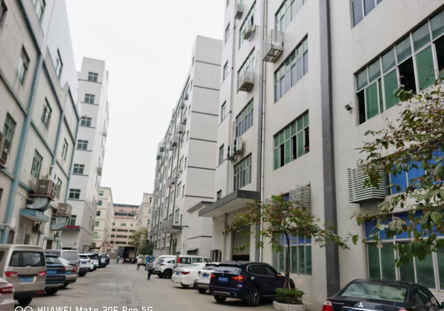 凤岗金凤凰大型工业园空出6楼1560方带装修